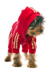 Similar image 6353862