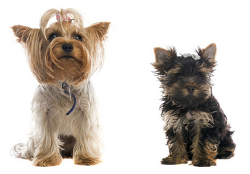 Similar image 6353893