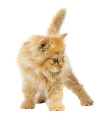 Similar image 6353896