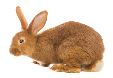 Similar image 6353898