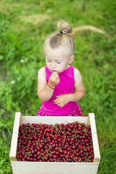 Similar image 6353902