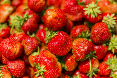 Similar image 6353907