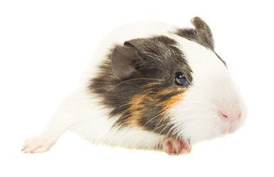 Similar image 6353911