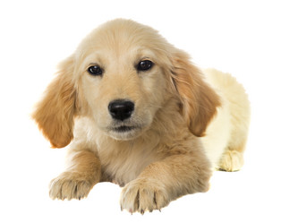 Similar image 6353913