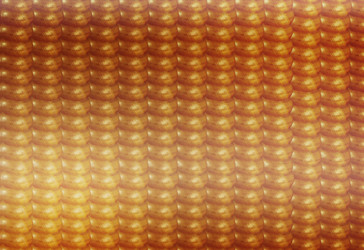 Similar image 6353983