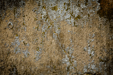 Similar image 6354018