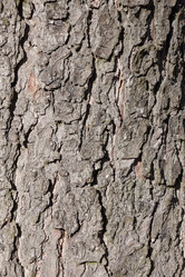 Similar image 6354038