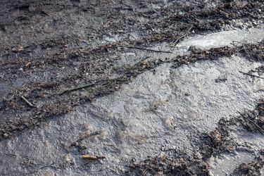 Similar image 6354085