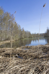 Similar image 6354137