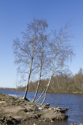 Similar image 6354138