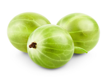 Similar image 6354311