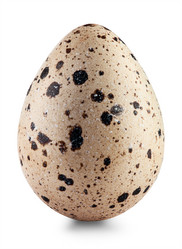 Similar image 6354315