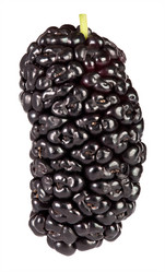 Similar image 6354318