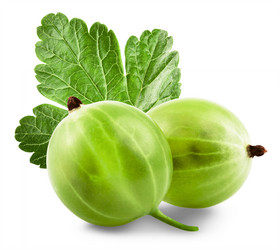 Similar image 6354335