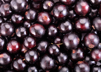 Similar image 6354381