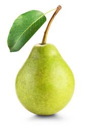 Similar image 6354385