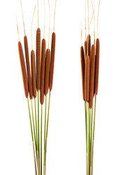 Similar image 6354389