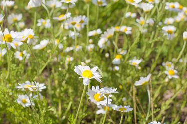 Similar image 6354416