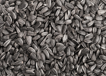 Similar image 6354425