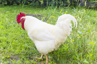 Similar image 6354444