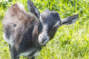 Similar image 6354452