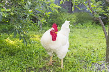 Similar image 6354455