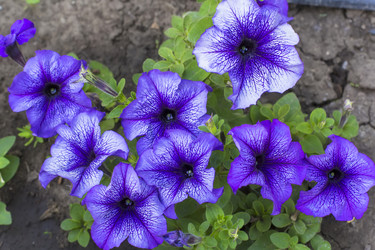 Similar image 6354464