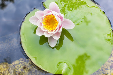 Similar image 6354469