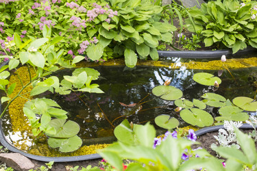 Similar image 6354468