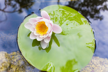 Similar image 6354471