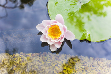 Similar image 6354473