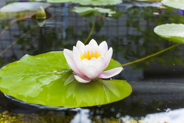 Similar image 6354475