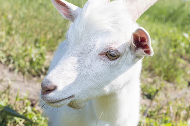 Similar image 6354474