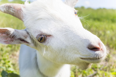 Similar image 6354477