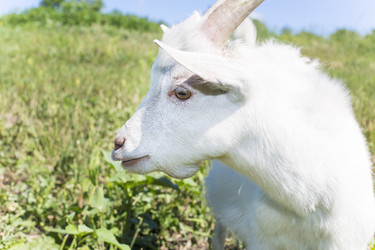 Similar image 6354489