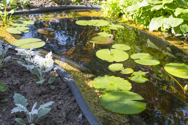 Similar image 6354497