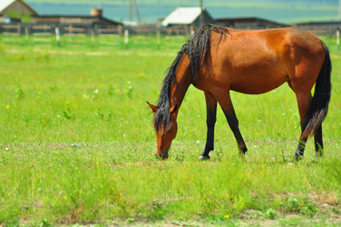 Similar image 6354596