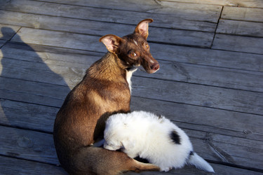 Similar image 6354682