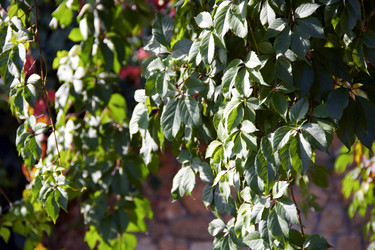 Similar image 6354684