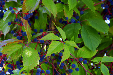 Similar image 6354685