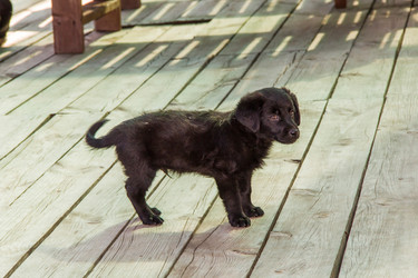 Similar image 6354731