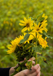 Similar image 6354732