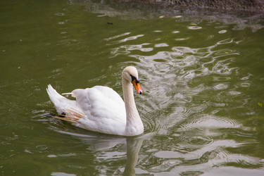 Similar image 6354733