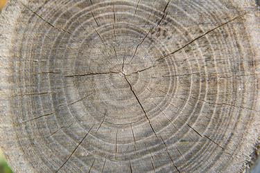 Similar image 6354735