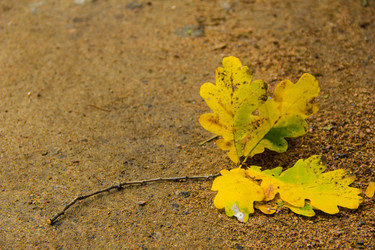 Similar image 6354740