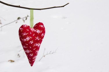 Similar image 6354742