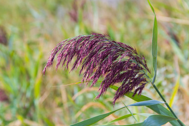 Similar image 6354747