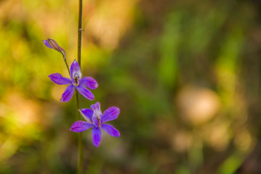 Similar image 6354749