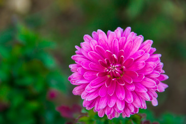 Similar image 6354760