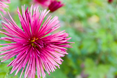 Similar image 6354762